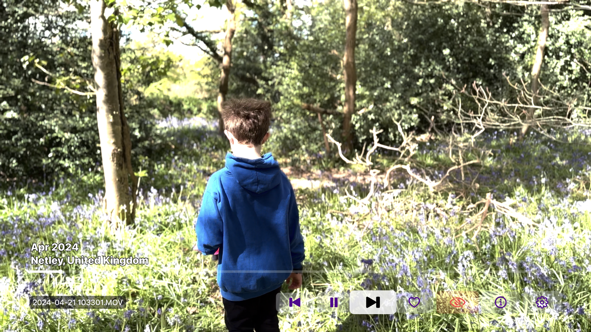 Home Video Channel screenshot 12